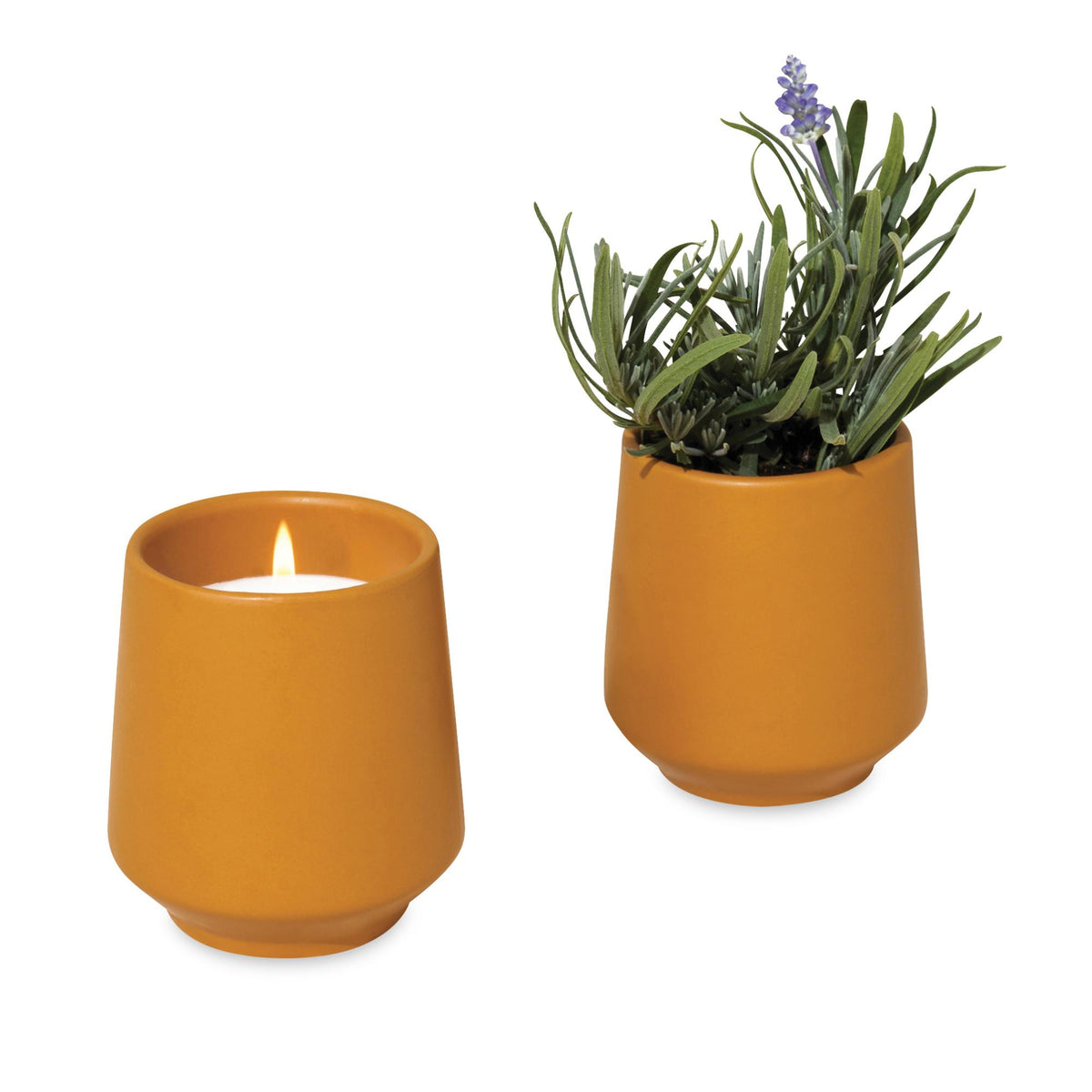 original?content-type=image%2Fjpeg&name=Modern+Sprout%C2%AE+Rooted+Candle+101462-851+%286%29.jpg
